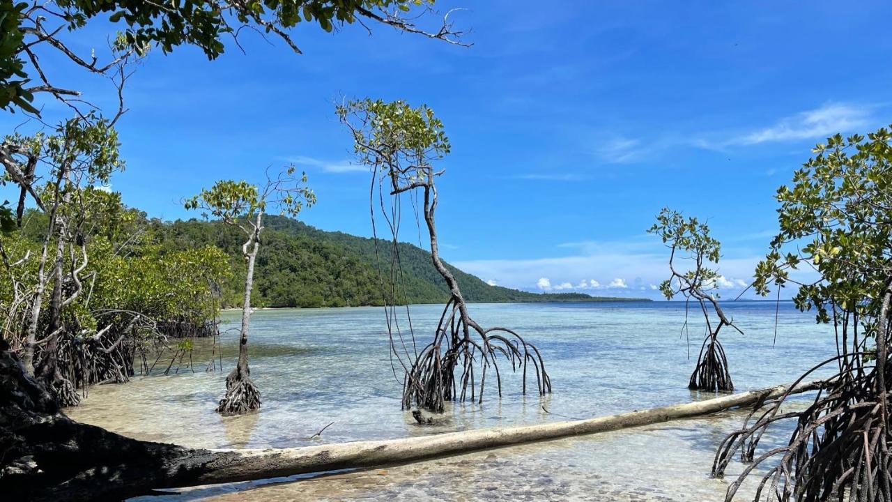 Nyande Raja Ampat Hotell Pulau Mansuar Eksteriør bilde